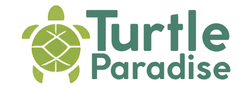 Turtle Paradise