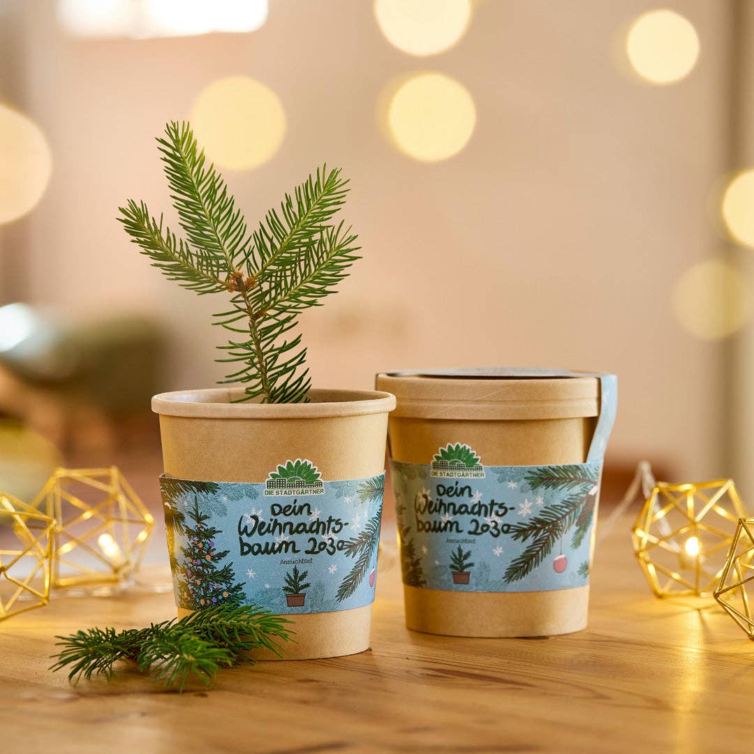 Weihnachtsbaum aus dem Becher