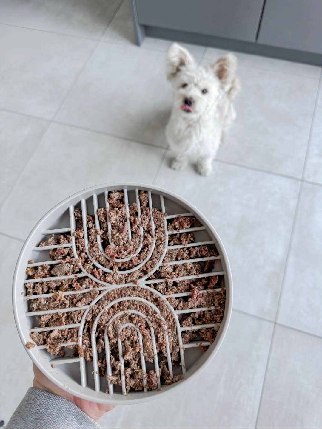 Anti Schling Napf & Schleckmatte Greige 250ml