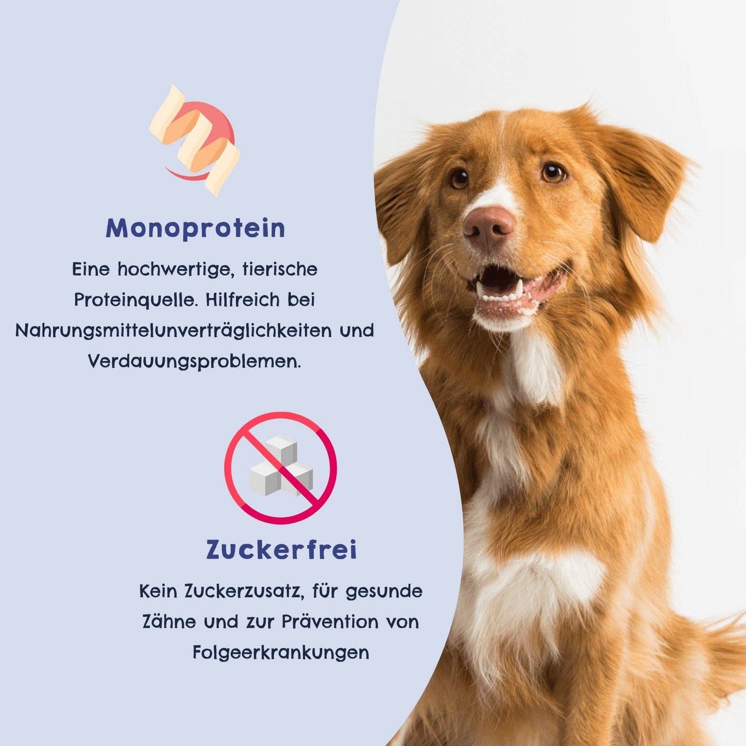 HAPPY JACKY Monoprotein Snack für ernährungssensible Hunde - ohne Zucker, ohne Getreide - Rind