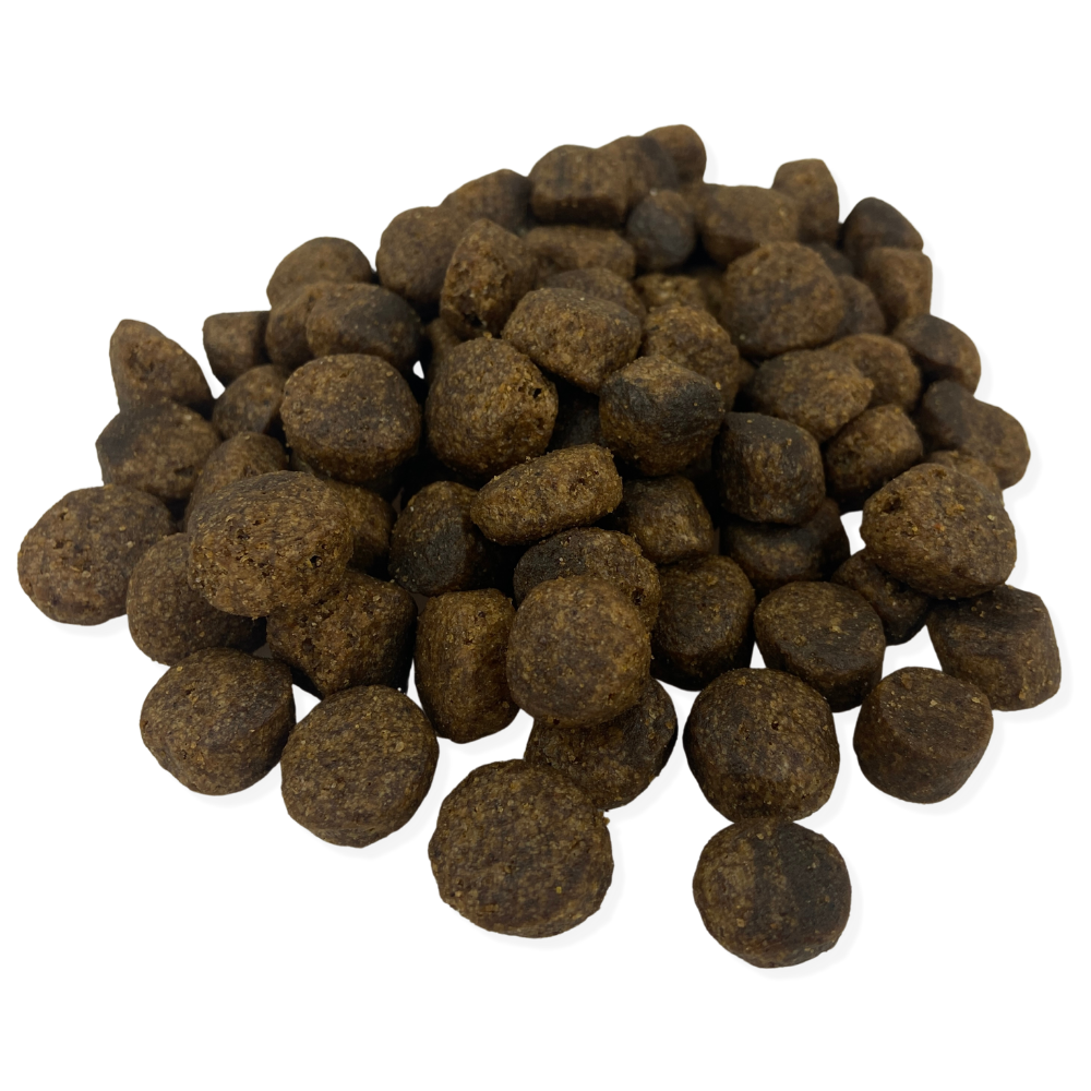 Wolf´s Nature ® Fjord-Lachs