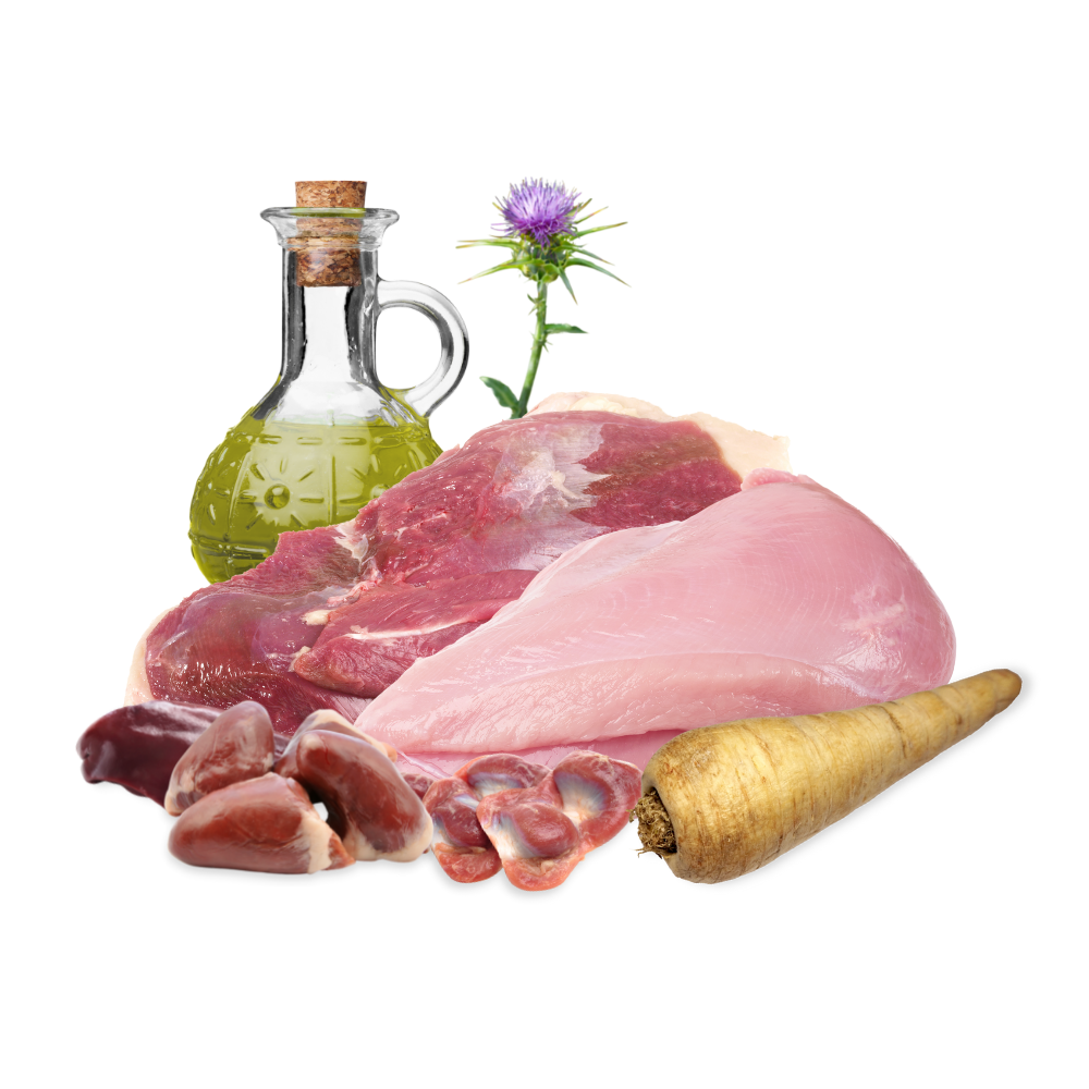 Lucky-Pet Pute mit Gans, Pastinake und Distelöl