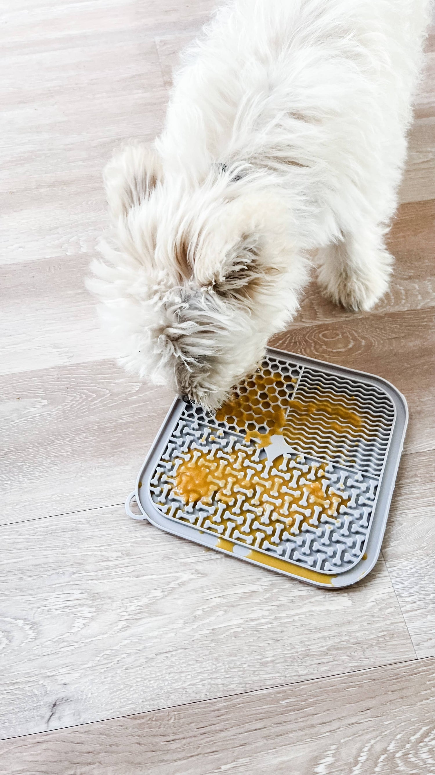 Leckmatte | Schleckmatte für Hunde in Creme