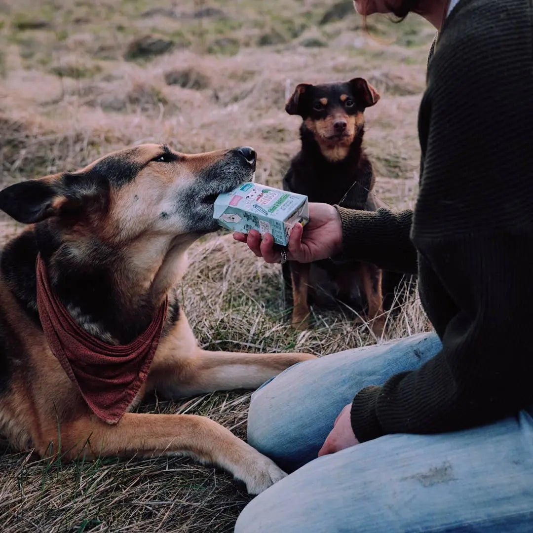 ADULT Erbsen & Haferflocken im Tetra Pak kaufen bei shop_name - 