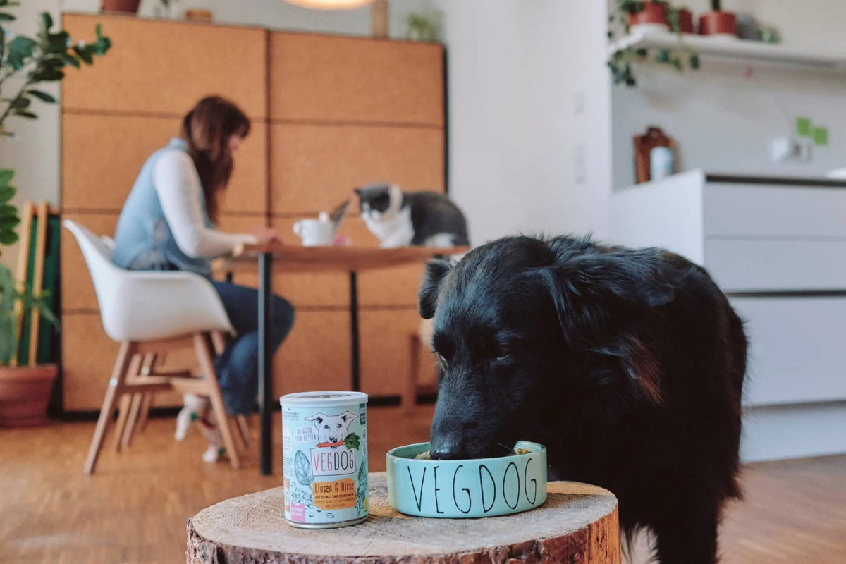 ADULT Linsen & Hirse kaufen bei shop_name - 