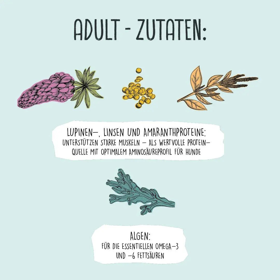 ADULT Linsen & Hirse kaufen bei shop_name - 