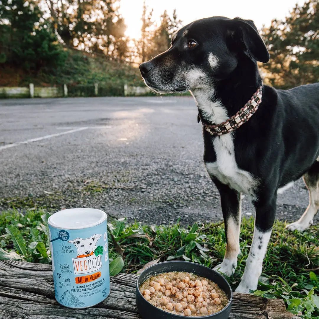 ALL - IN VELUXE kaufen bei shop_name - 