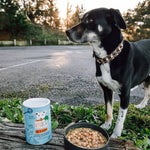 ALL - IN VELUXE kaufen bei shop_name - 