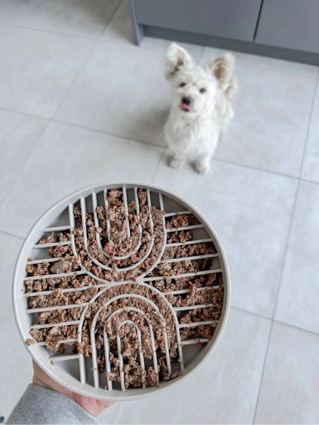 Anti Schling Napf & Schleckmatte Greige 250ml kaufen bei shop_name - 