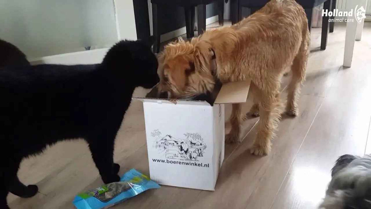 Braaaf Rohhaut Twister Ente (8 Stk.) - 25 cm kaufen bei shop_name - 