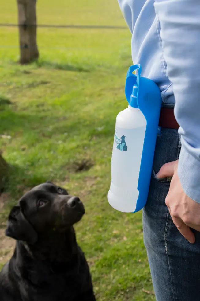 CoolPets Fresh 2GO Wasser Trinkflasche 300 ml kaufen bei shop_name - 