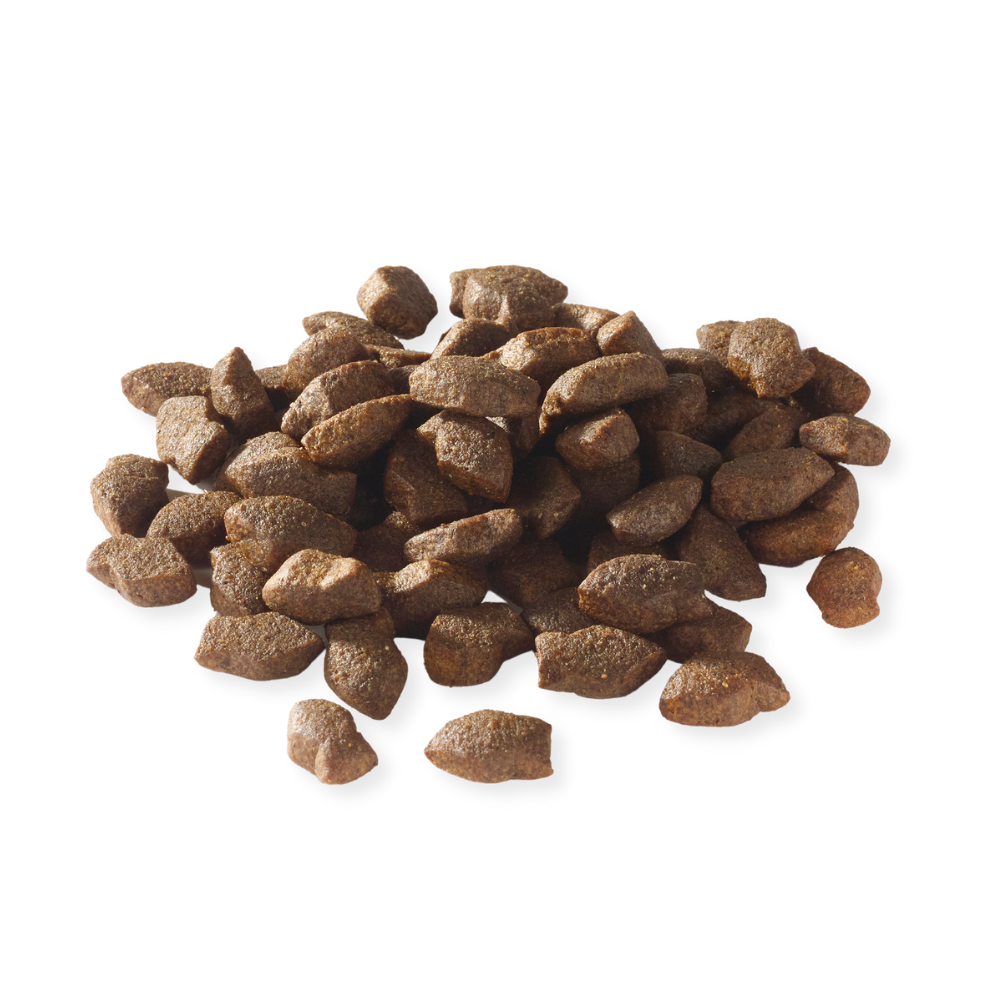 Fish4Dogs Support+ Gelenkgesundheit - Lachshäppchen 150 g