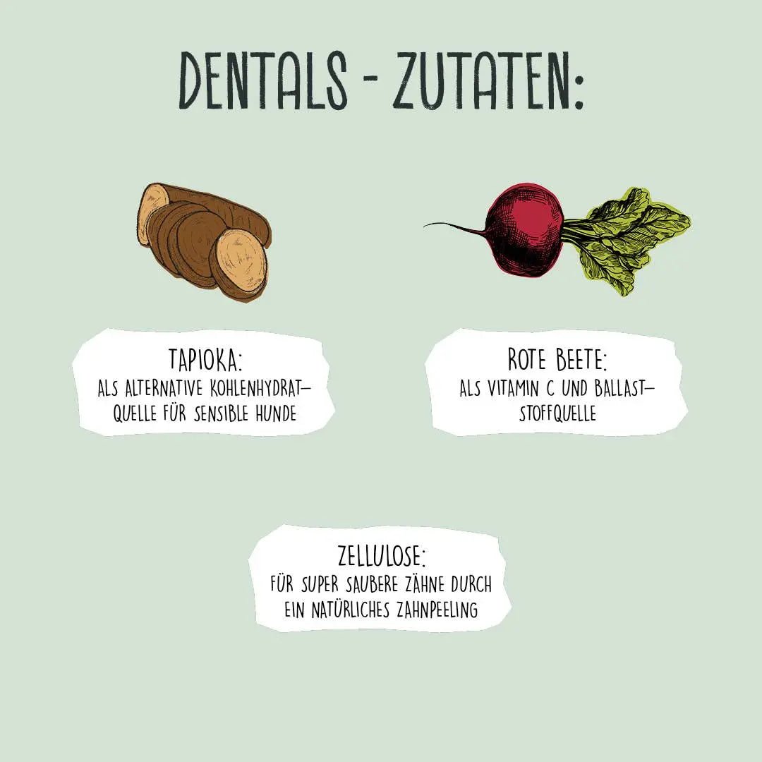 DENTALS 120 g kaufen bei shop_name - 