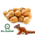 ERDENFREUND® Eichhörnchen Gartenwalnüsse 1kg kaufen bei shop_name - 