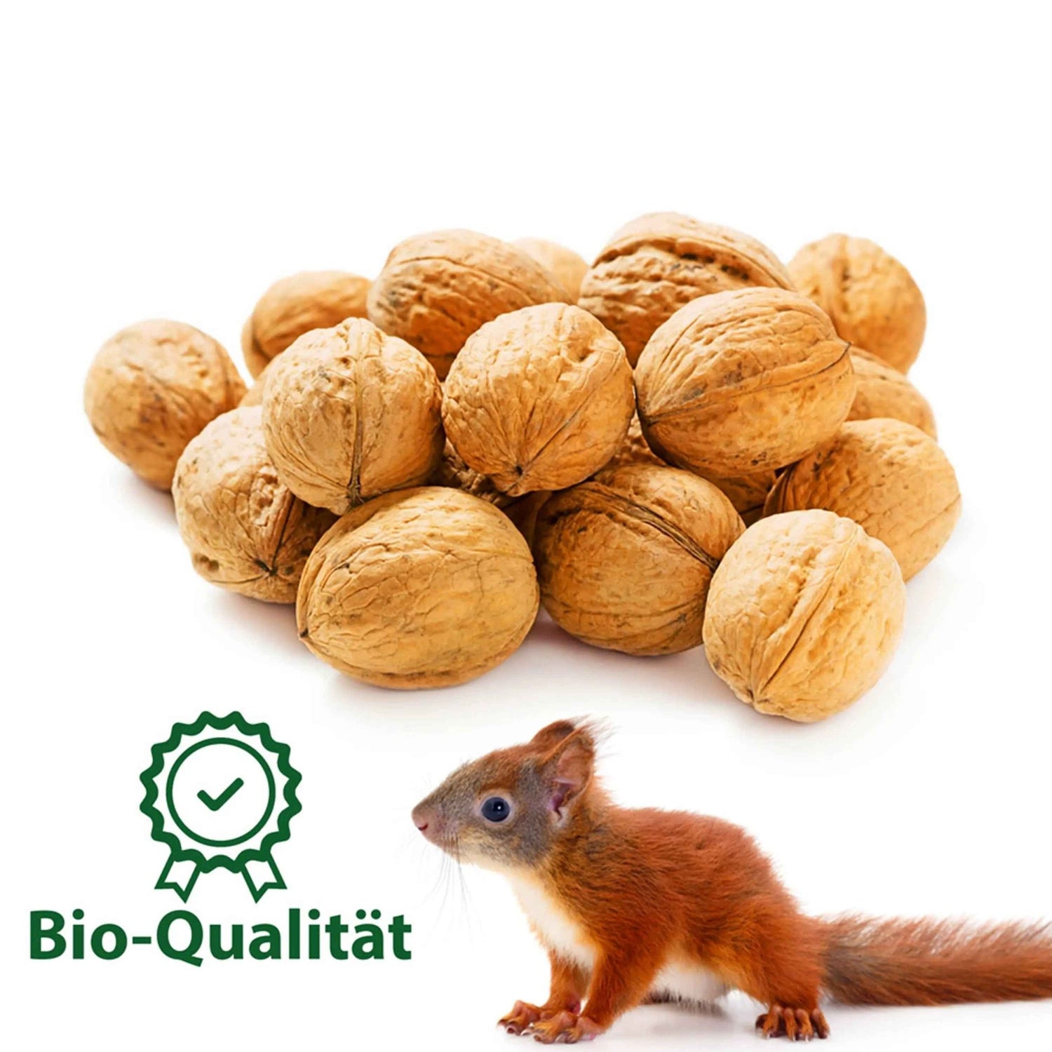 ERDENFREUND® Eichhörnchen Gartenwalnüsse 1kg kaufen bei shop_name - 