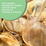 Extra Großen Schweineohren kaufen bei shop_name - 