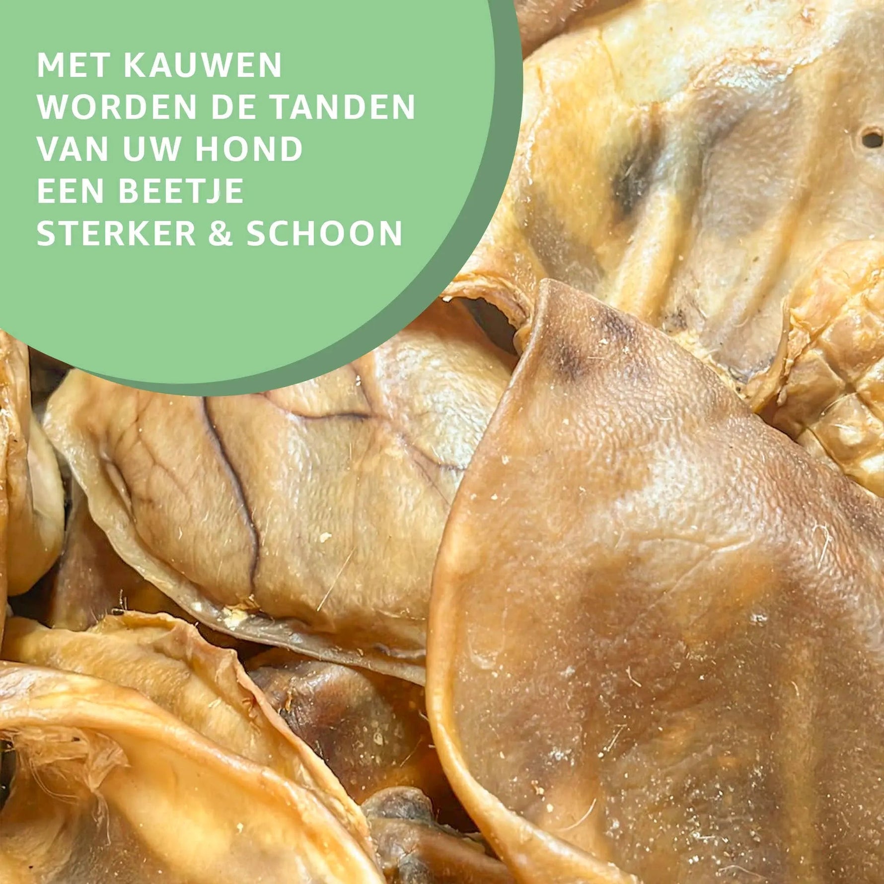 Extra Großen Schweineohren kaufen bei shop_name - 