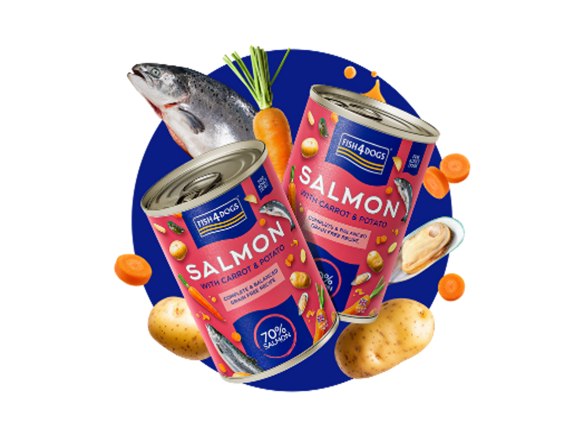 Fish4Dogs ® Finest Lachs mit Karotte & Kartoffel 395 g kaufen bei shop_name - 