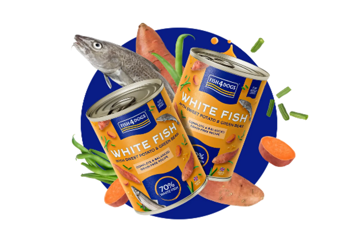 Fish4Dogs ® Finest Weißfisch mit Süßkartoffel&grünen Bohne kaufen bei shop_name - 
