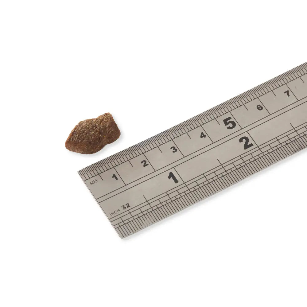 Fish4Dogs Support+ Gelenkgesundheit - Lachshäppchen 150 g kaufen bei shop_name - 