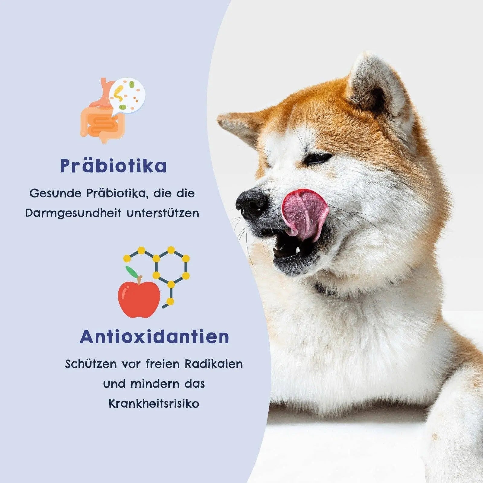 HAPPY JACKY | extra sensitives High - Premium Nassfutter für Hunde ohne Getreide | Huhn mit Wildreis, Brokkoli & Hirse | ohne Konservierungsstoffe, Zuckerfrei kaufen bei shop_name - 