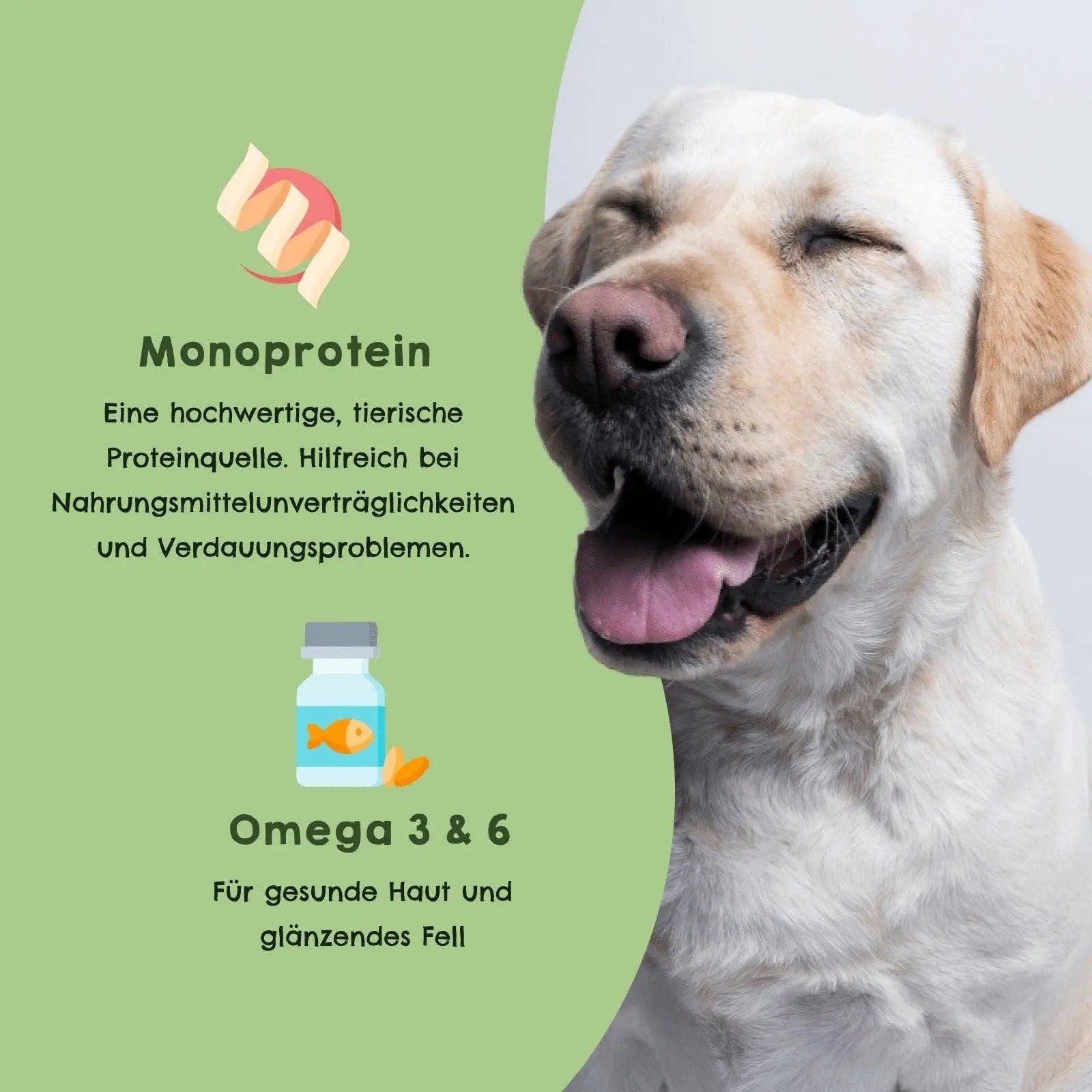 HAPPY JACKY | extra sensitives High - Premium Nassfutter für Hunde ohne Getreide | Truthahn mit Reis, Karotte & Haferflocken | ohne Konservierungsstoffe, Zuckerfrei kaufen bei shop_name - 