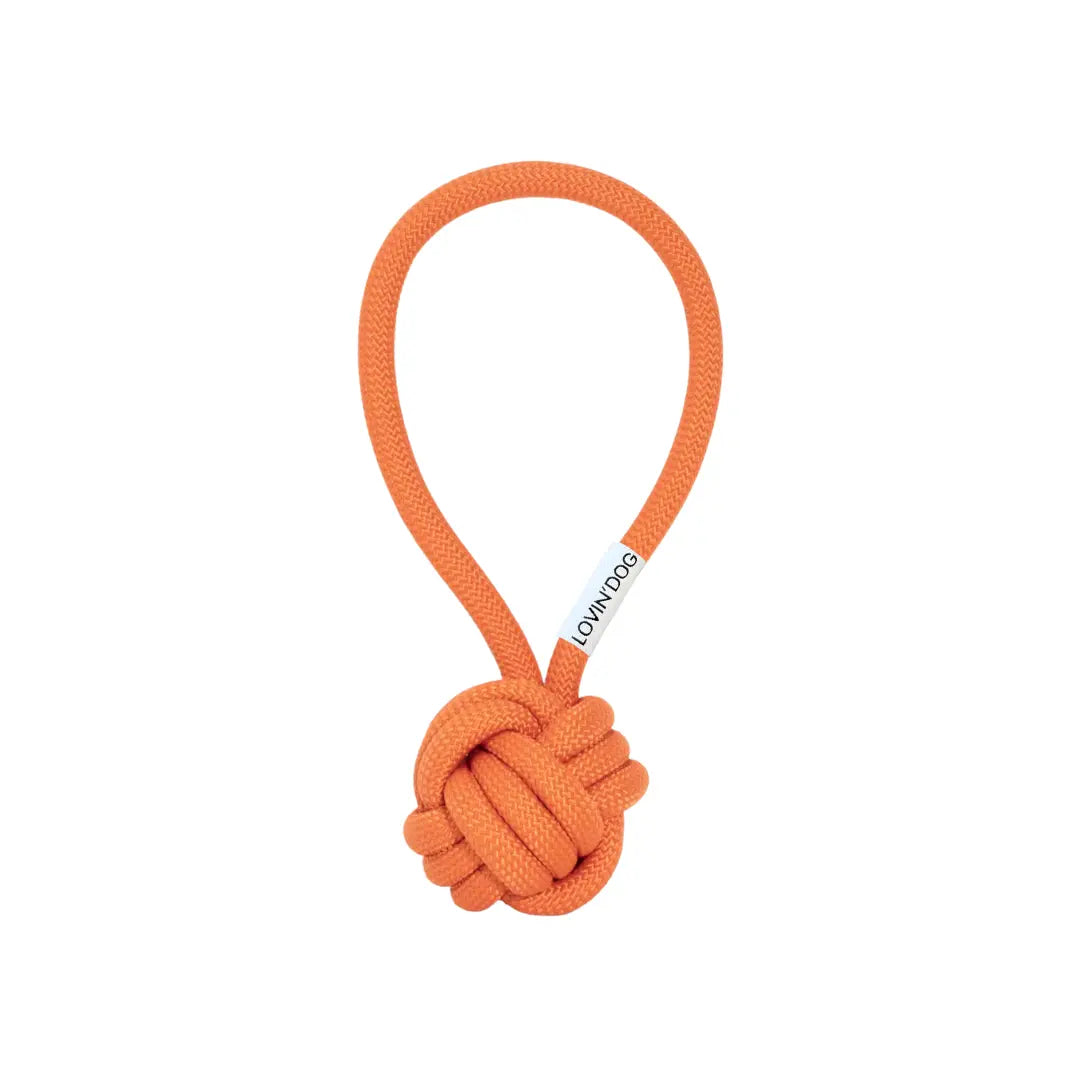 Hundespielzeug Schleuderball LIO Carrot kaufen bei shop_name - 