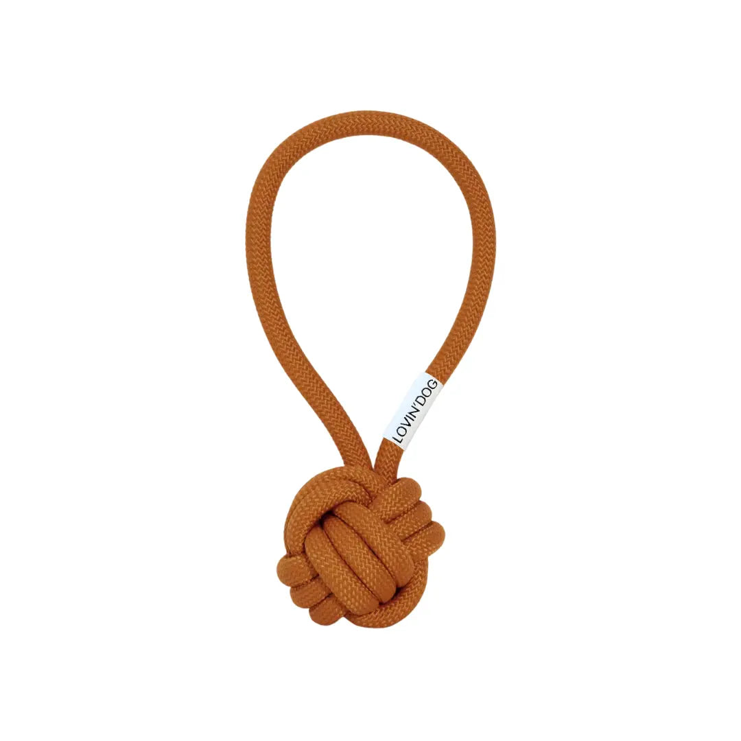 Hundespielzeug Schleuderball LIO Ginger kaufen bei shop_name - 