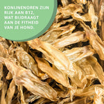 Kaninchenohren ohne Fell kaufen bei shop_name - 