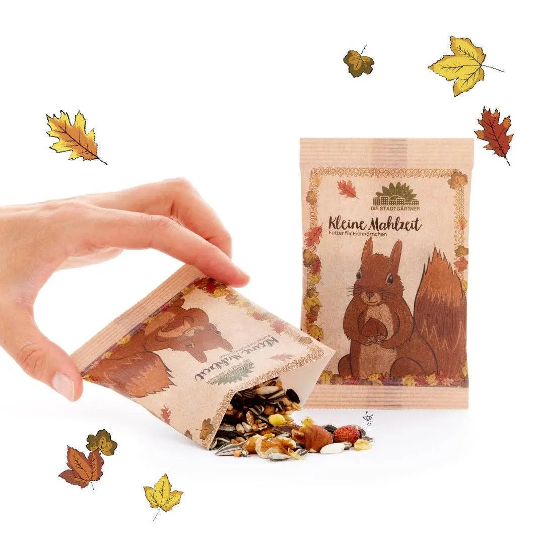Kleine Mahlzeit Eichhörnchen kaufen bei shop_name - 