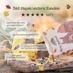 Kleine Mahlzeit Eichhörnchen kaufen bei shop_name - 