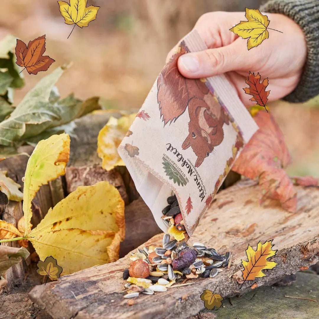 Kleine Mahlzeit Eichhörnchen kaufen bei shop_name - 