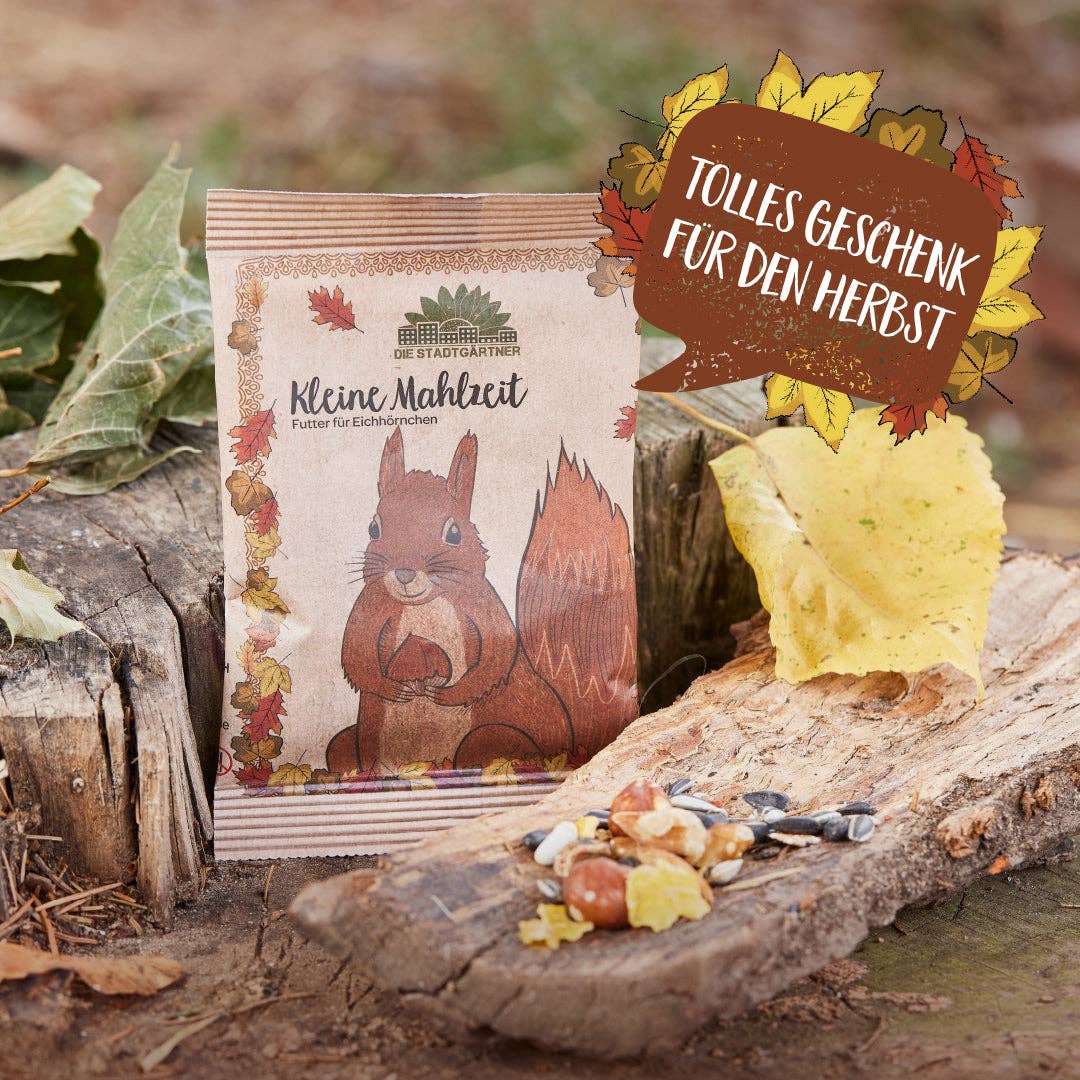 Kleine Mahlzeit Eichhörnchen kaufen bei shop_name - 