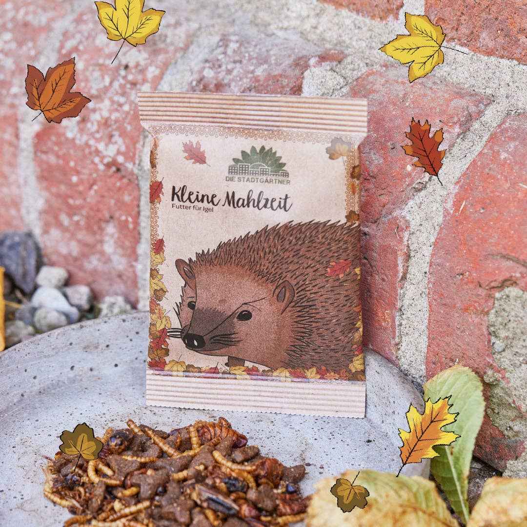 Kleine Mahlzeit Igel kaufen bei shop_name - 