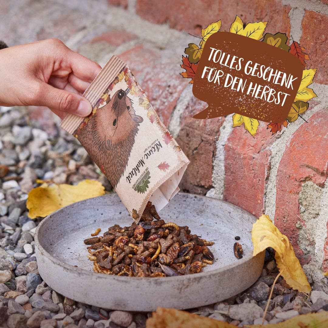 Kleine Mahlzeit Igel kaufen bei shop_name - 