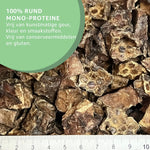 Lungentrainer für Hunde kaufen bei shop_name - 