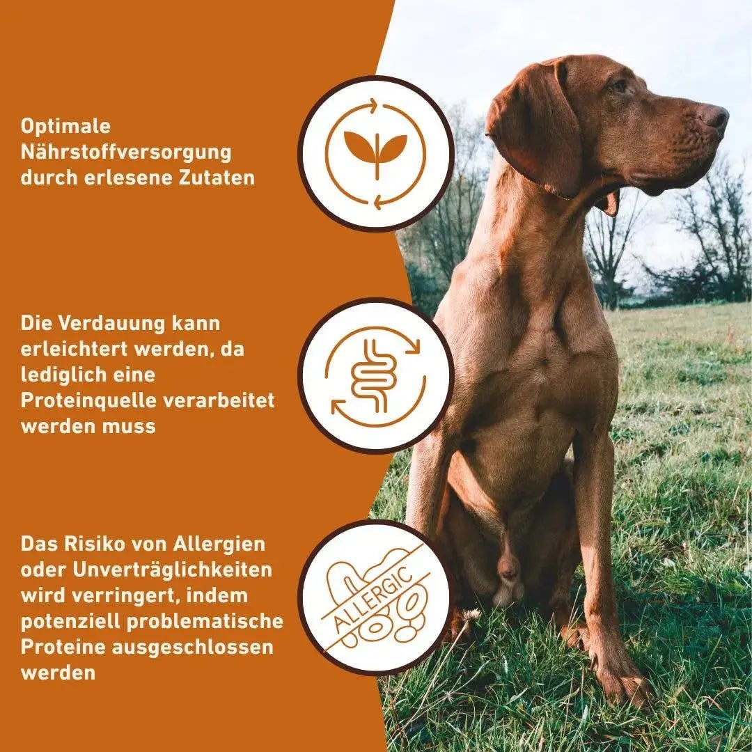 Nassfutter Rind pur - BARF Qualität kaufen bei shop_name - 