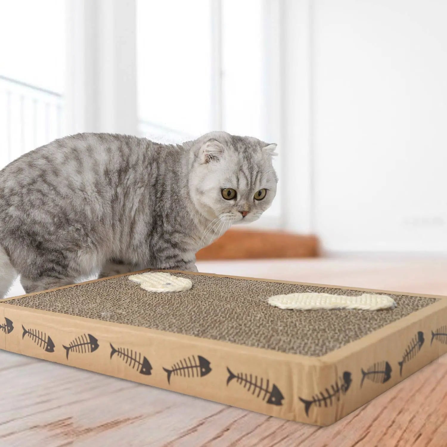 Nobleza - Maus Kratzbrett Inkl Minze kaufen bei shop_name - 