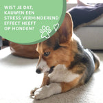 Rindersehnen kaufen bei shop_name - 