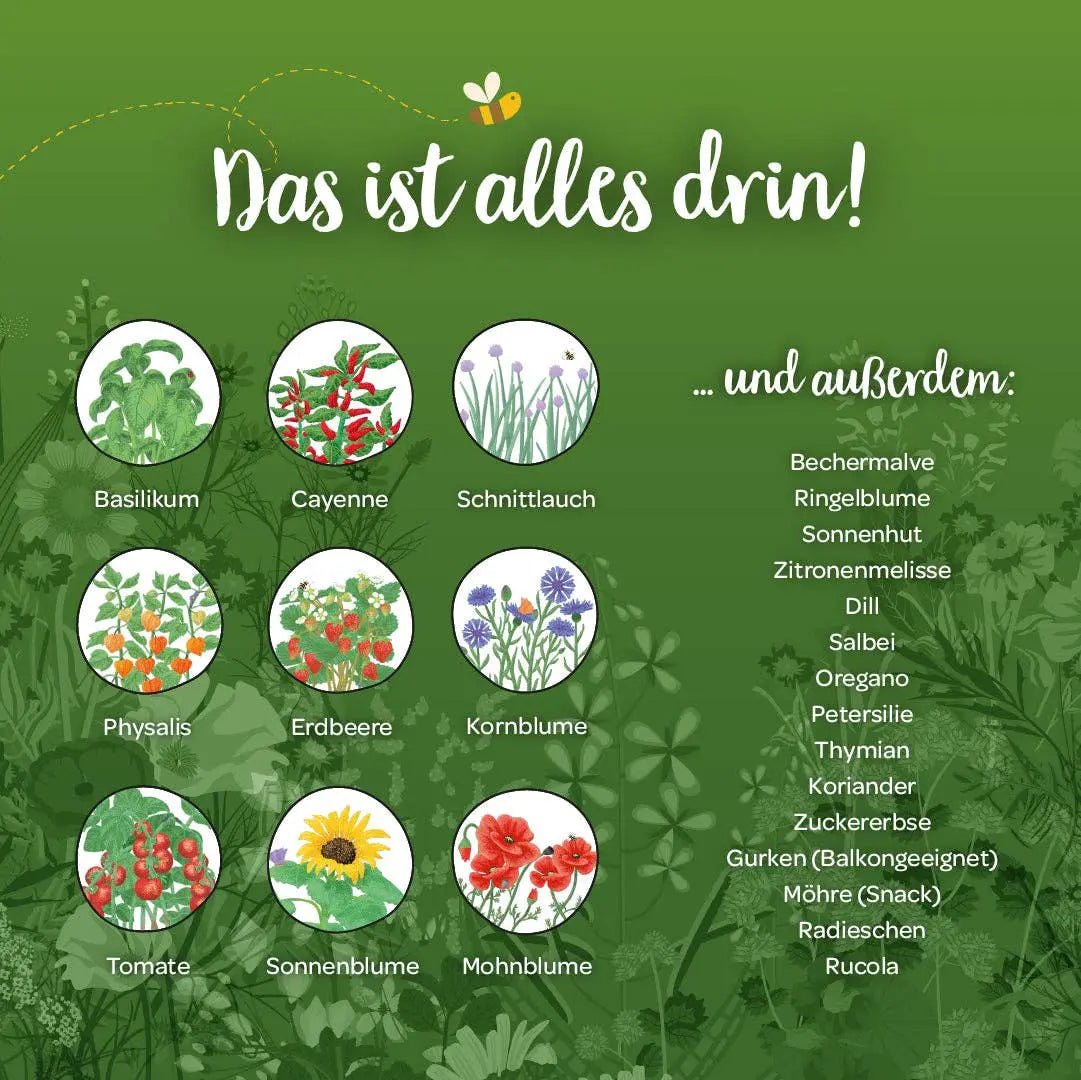 Saatgut - Adventskalender mit Türchen kaufen bei shop_name - 