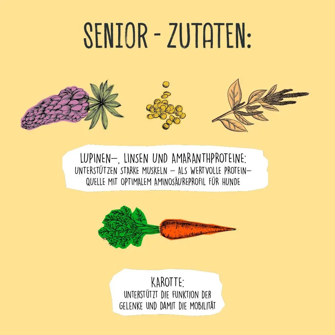 SENIOR Erbsen & Hirse kaufen bei shop_name - 
