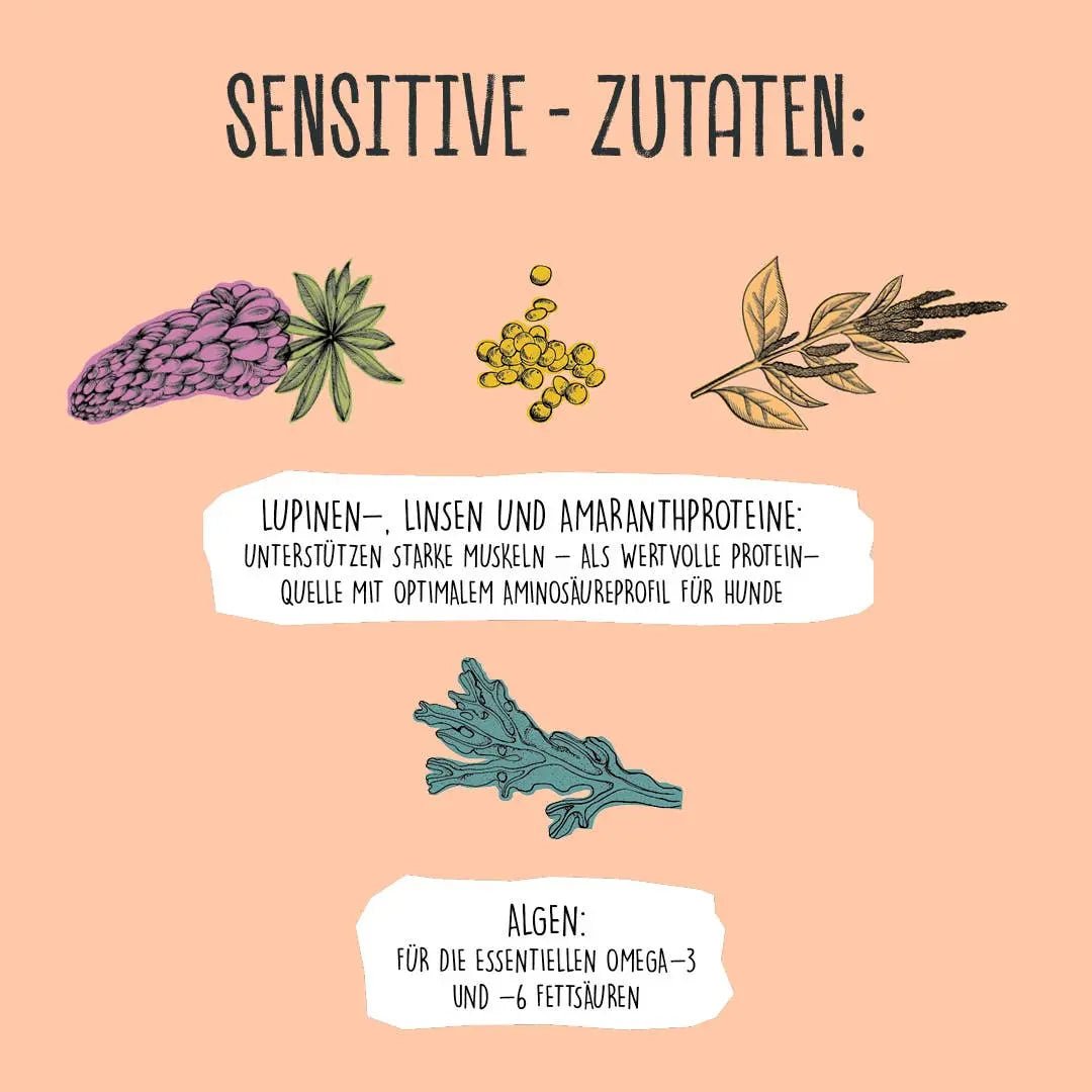 SENSITIVE Lupinenprotein kaufen bei shop_name - 