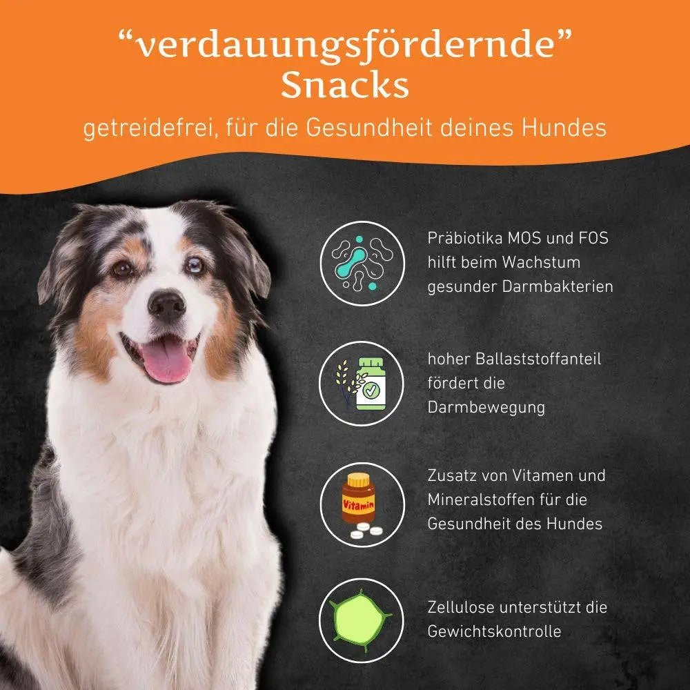 Verdauungsfördernde Snacks - getreidefrei kaufen bei shop_name - 