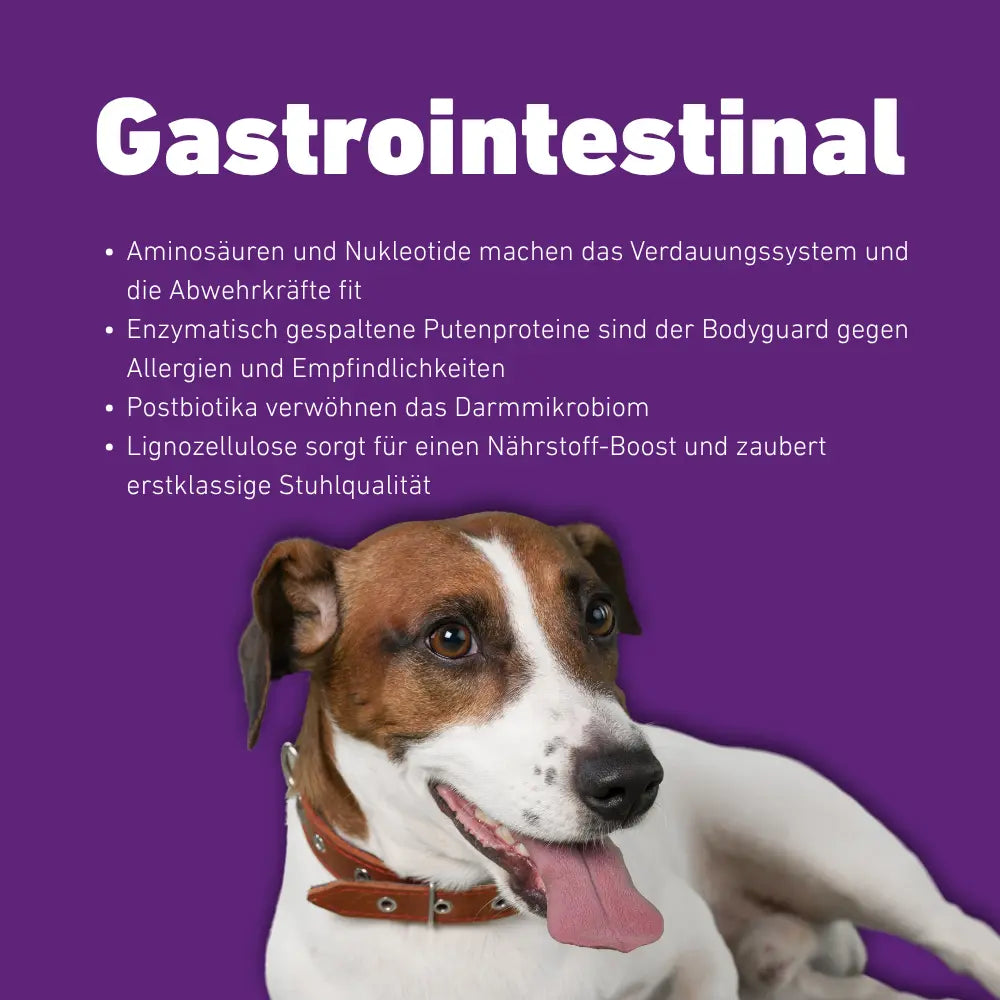 VetLine Trockenfutter mit Peptiden für Hunde - Gastrointestinal kaufen bei shop_name - 