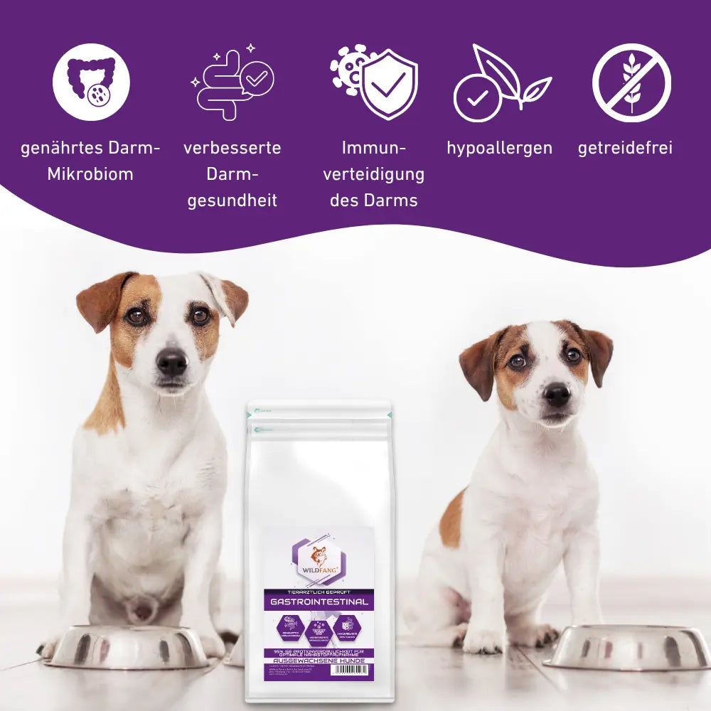 VetLine Trockenfutter mit Peptiden für Hunde - Gastrointestinal kaufen bei shop_name - 