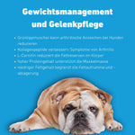 VetLine Trockenfutter mit Peptiden für Hunde - Gewichtskontrolle und Gelenkpflege kaufen bei shop_name - 