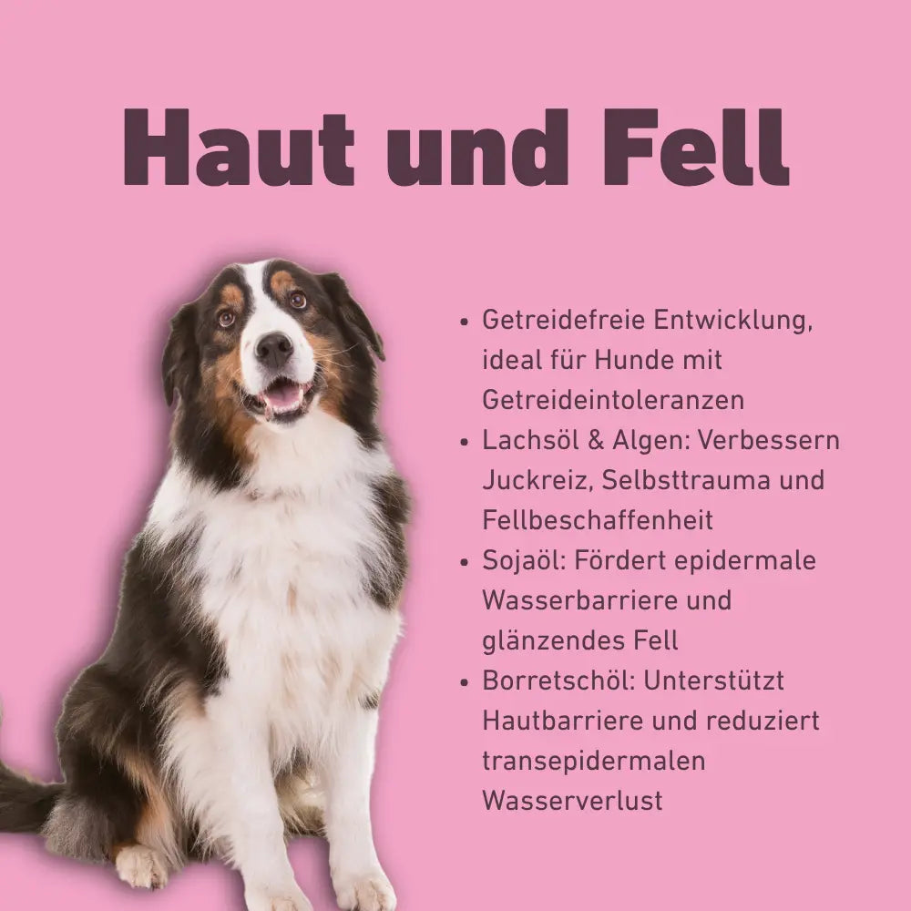 VetLine Trockenfutter mit Peptiden für Hunde - Haut und Fell kaufen bei shop_name - 