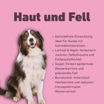 VetLine Trockenfutter mit Peptiden für Hunde - Haut und Fell kaufen bei shop_name - 