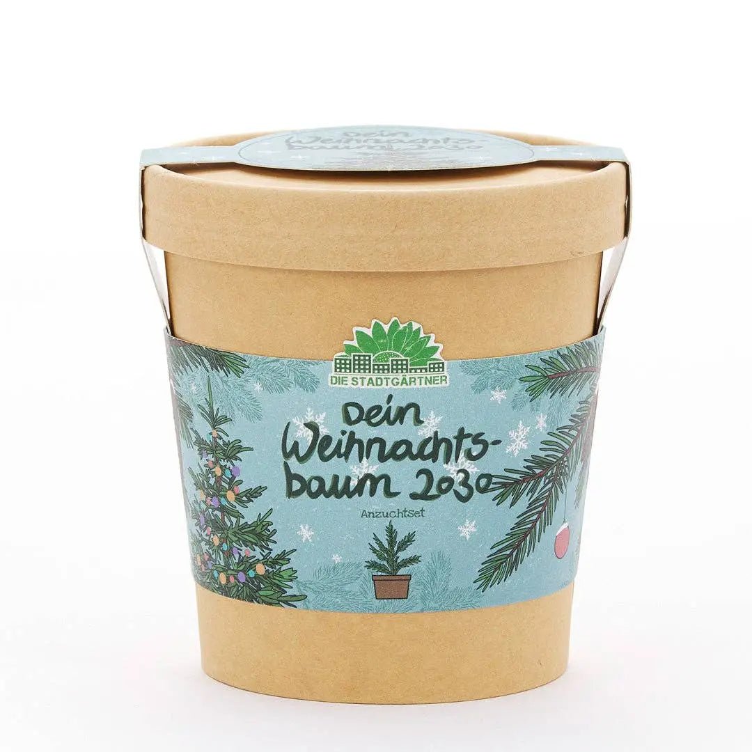 Weihnachtsbaum aus dem Becher kaufen bei shop_name - 