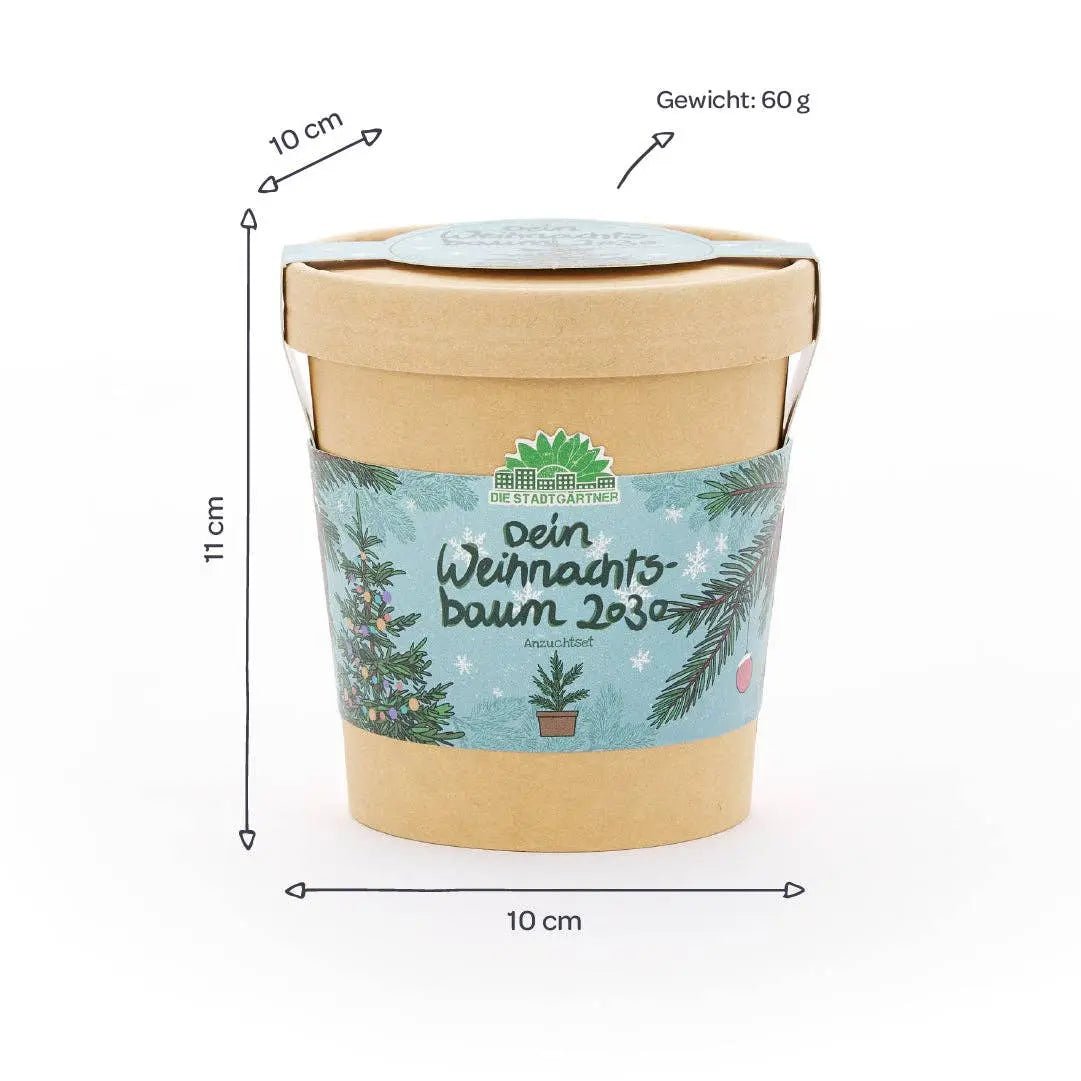 Weihnachtsbaum aus dem Becher kaufen bei shop_name - 
